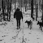 Pian Savin Frühstückspension 3*