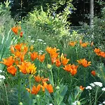 Bed and Breakfast Pian Savin 3*