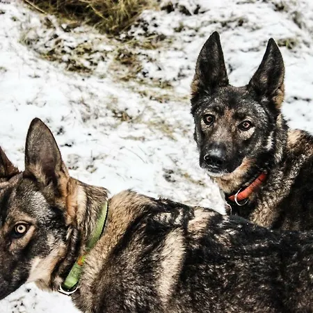 Bed & Breakfast Pian Savin 3*