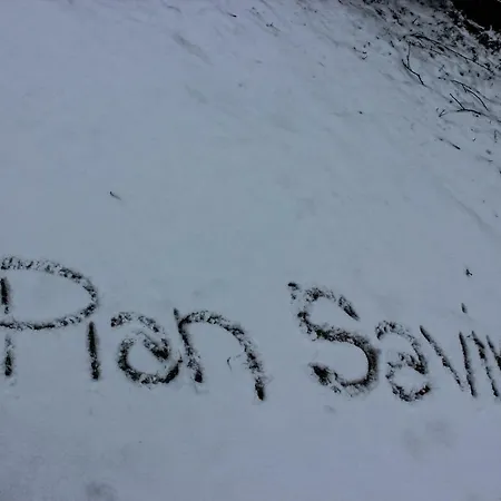 Pian Savin 3*