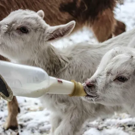 Pian Savin 3* Giaveno