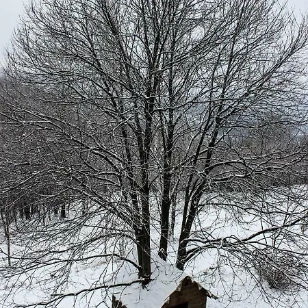 Oda ve Kahvaltı Pian Savin 3*