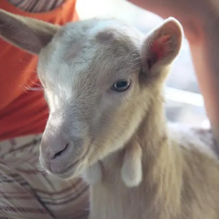 Pian Savin 3* Giaveno