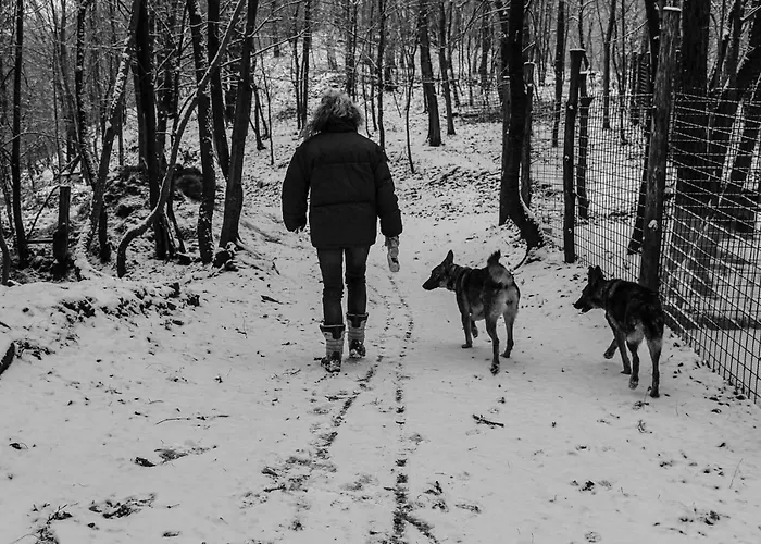 Pian Savin Frühstückspension 3*