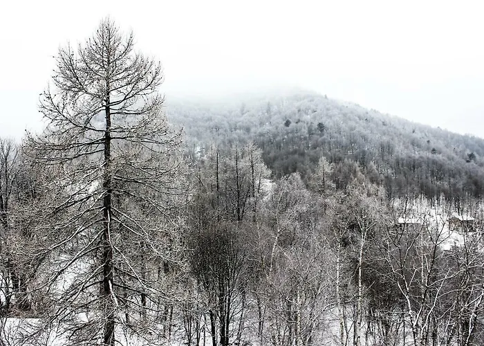 Pian Savin Bed and breakfast Giaveno