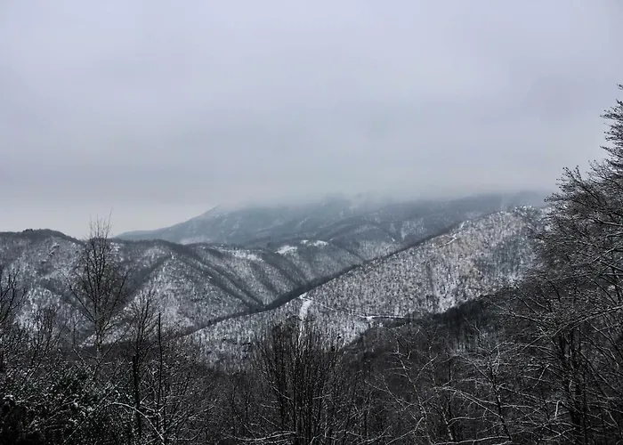 Pian Savin 3* Джавено