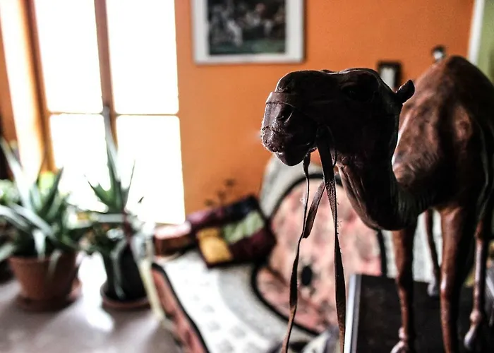 Pian Savin Отель типа 