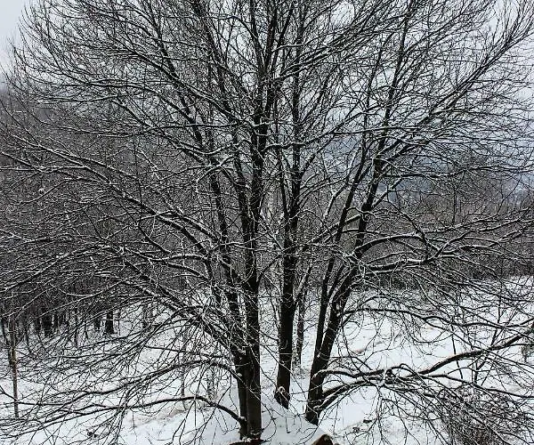 Bed and breakfast Pian Savin 3*