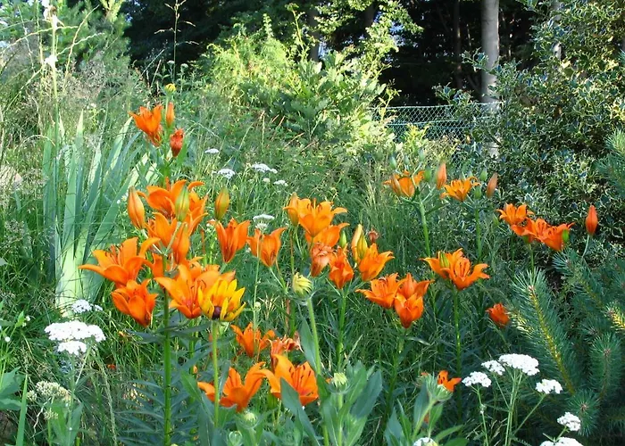 Bed and breakfast Pian Savin 3*