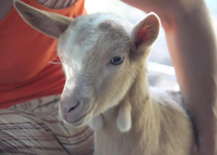 Pian Savin 3* Giaveno